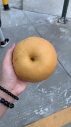 -小熊维尼高端儿童摄影(南山信和店)