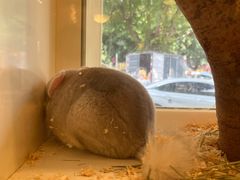 -龙猫仔乐园(惠福东路店)