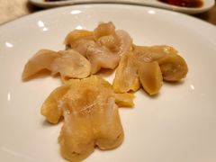 堂灼野生象拔蚌-镛记酒家