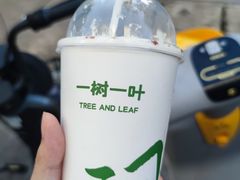 -一树一叶·福建茶档(石鼓路店)