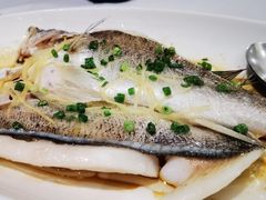 -京粤荟(海王银河科技大厦店)