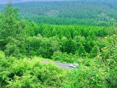 -塞罕坝国家级自然保护区