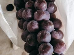 -马陆小张葡萄园农家乐