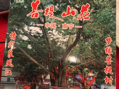 -南宁良凤江国家森林公园