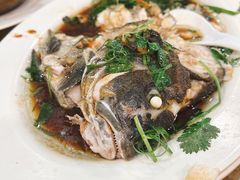 清蒸石斑鱼-揭阳钟记小食(福田新村店)
