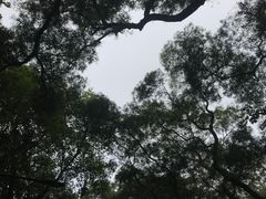-广州市白云山风景名胜区