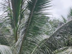 -日月湾海门游览区