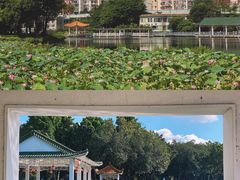 -荔湾湖公园