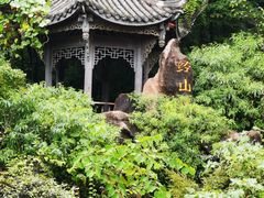 -凤栖山