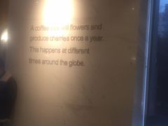 -星巴克(汾阳路店)