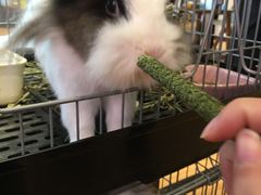 -藦茜花园宠物主题亲子互动体验馆(国顺东路店)