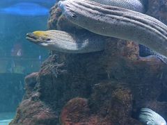 -鄂尔多斯野生动物园