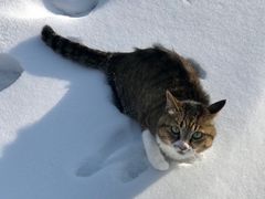 -北极村旅游风景区