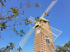 -昆山城市生态森林公园