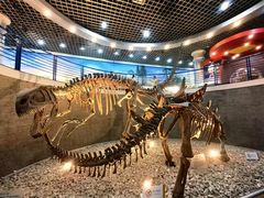 -国家自然博物馆