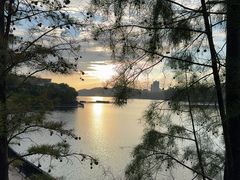 -惠州白鹭湖雅居乐喜来登酒店-采悦轩中餐厅