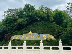 -庐山风景名胜区-东林大佛