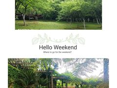 -南山植物园