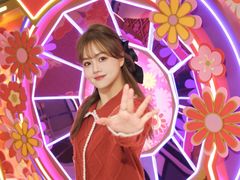 -杏花新城