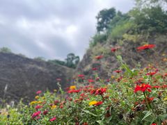-六合国家地质公园桂子山景区