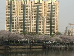 -西北湖绿化广场