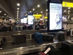 -谢列梅捷沃国际机场