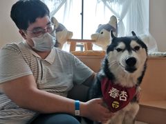 -Husky Go! 哈士奇体验馆·宠物咖啡厅狗咖