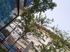 门面-深圳大学城（南区）体育中心-游泳馆