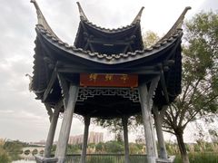 -眉山湿地公园(东坡区)