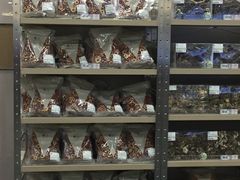 -楼上(新馬路澳門廣場店)