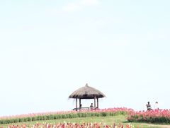 -径山花海