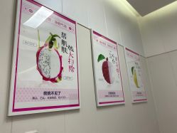 -KS科逆美肤祛痘