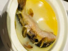 -八分饱·西津会(西津渡店)