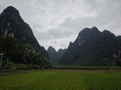 -明仕田园