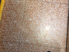 -汤姆家的牛排意面披萨(新城市广场店)