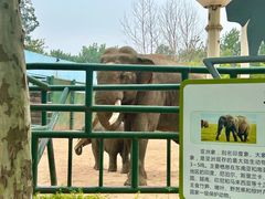 -秦皇岛野生动物园