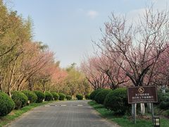 -上海海湾国家森林公园