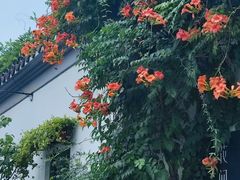 -南京民俗博物馆(甘熙故居)