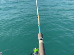 -小猫钓鱼海钓俱乐部(椰梦长廊店)