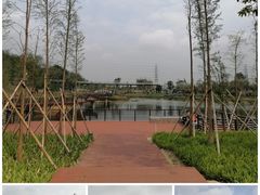 -王借岗森林公园