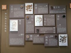 -中国湿地博物馆