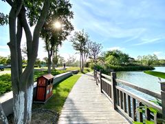 -上海长兴岛郊野公园