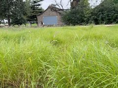 -汉长安城未央宫国家考古遗址公园