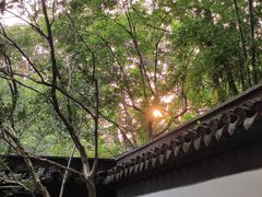 -秋霞圃