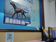 -宠颐生猫科·内科皮肤科(西平世纪城店)