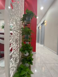 -晶奕空间专业脱毛连锁机构