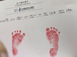 -北京嘉禾医疗