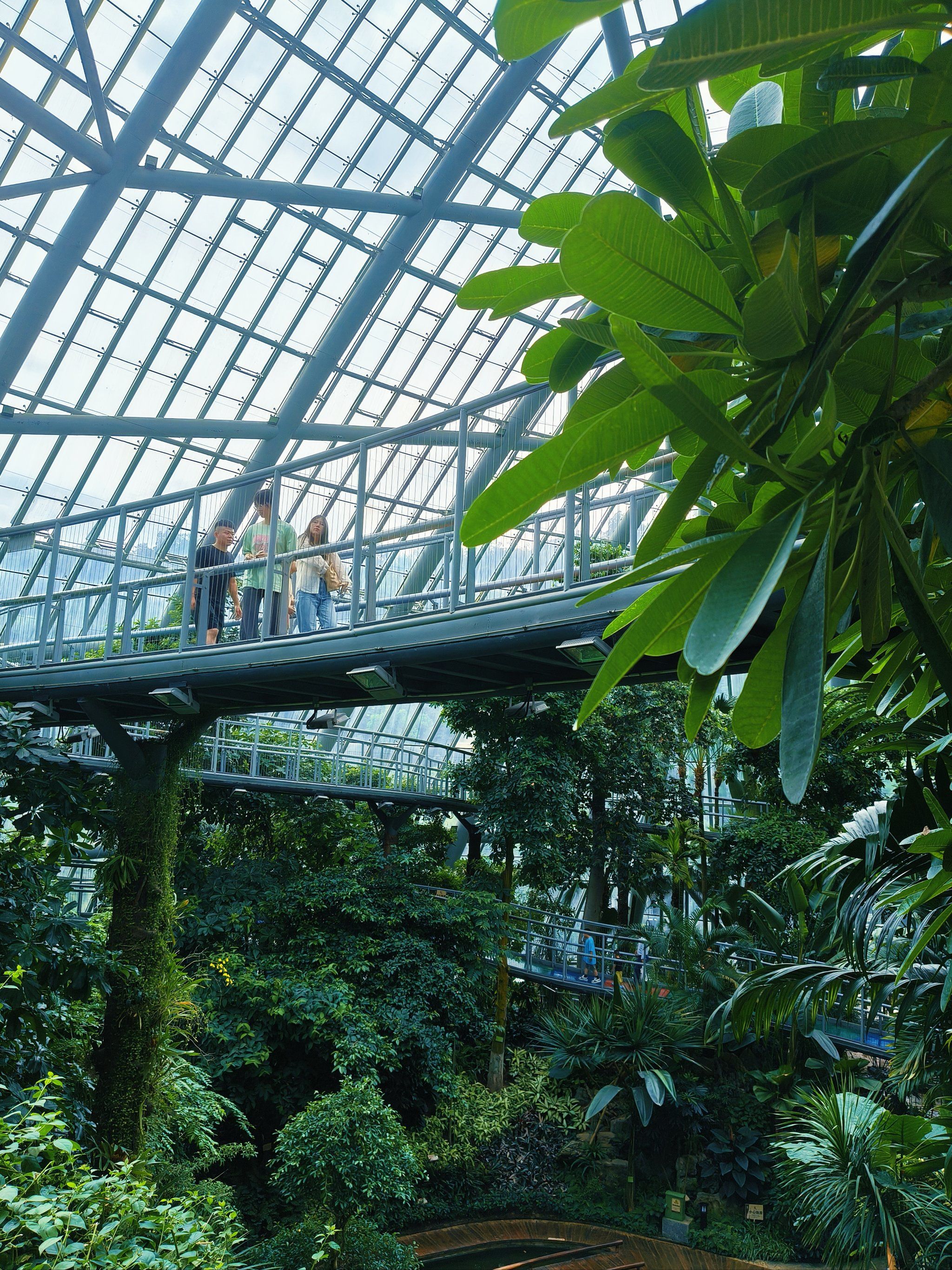 惠州植物园一日游攻略