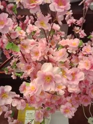 点击看大图 -苗医生草本科技祛痘