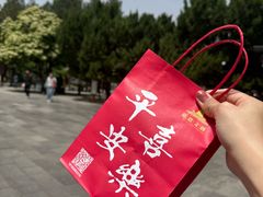 -大慈恩寺(大雁塔)